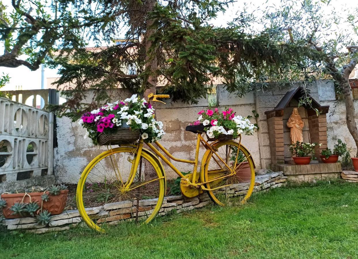 Bed and Breakfast Goccia Azzurra Сильви-Марина Экстерьер фото